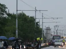 Foto Agenzia Candussi/ Baschieri/ Mestre, ponte della libertà/ Incidente mortale all'imbocco del ponte della libertà in direzione Mestre