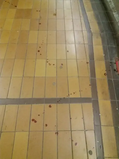 Agenzia Candussi, giornalista Mion. Tracce di sangue rilevate al sottopasso stazione di Mestre via Rizzardi