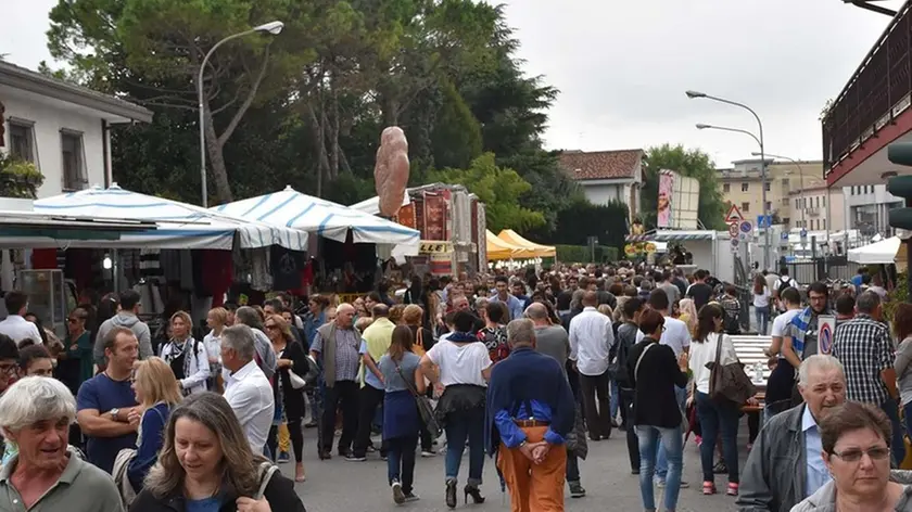 COLUCCI - DINO TOMMASELLA - SAN DONA' - LE FIERE - LA STRADA GREMITA