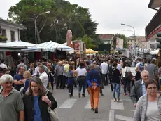 COLUCCI - DINO TOMMASELLA - SAN DONA' - LE FIERE - LA STRADA GREMITA