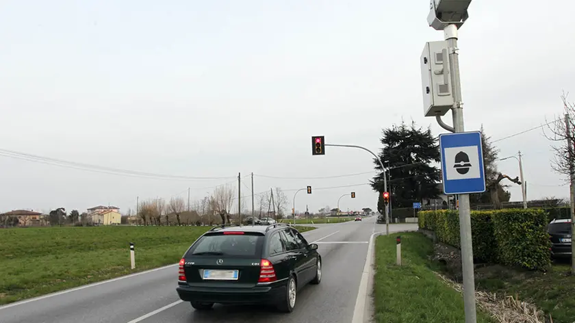 BELLUCO.INCROCIO DUE ALBERE PIAZZOLA SUL BRENTA