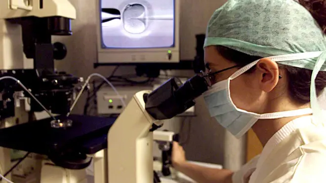 Una foto di archivio mostra un' inseminazione svolta in laboratorio con l'iniezione intracitoplasmatica dello spermatozoo nell'ovulo. Sullo schermo del computer, infatti, e' ben visibile l' entrata dell' ago nell' ovulo che introdurra' lo spermatozoo. Il divieto di fecondazione eterologa, previsto dalla legge 40, "condiziona" la "possibilità delle coppie eterosessuali sterili o infertili" di "poter concorrere liberamente alla realizzazione della propria vita familiare". Lo scrivono i giudici di Milano che hanno sollevato la questione di incostituzionalità della legge davanti alla Consulta ARCHIVIO /ANSA/