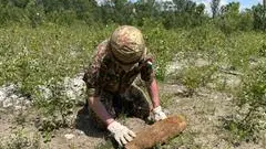Un artificiere dell'esercito italiano in azione per disinnescare un ordigno bellico