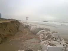 MORSEGO - DINO TOMMASELLA - JESOLO- EROSIONE SPIAGGIA DOPO MAREGGIATA