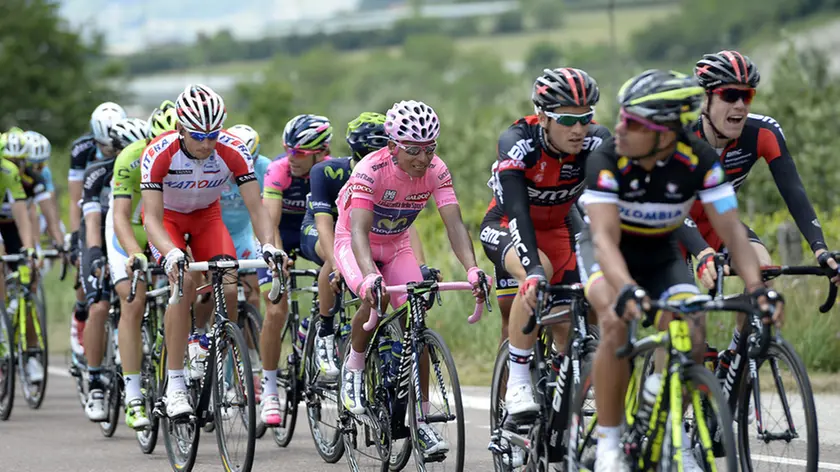 foto Fabio Ferrari - LaPresse.28 05 2014 Sarnonico, Trento (Italia).sport.Giro d'Italia 2014 - 17a tappa - Sarnonico-Vittorio Veneto..nella foto: Quintana Rojas Nairo Alexand -Col- (Movistar)..photo Fabio Ferrari - LaPresse.28 05 2014 Sarnonico, Trento (Italia).sport.Giro d'Italia 2014 - 17th stage - Sarnonico-Vittorio Veneto..In the picture:Quintana Rojas Nairo Alexand -Col- (Movistar).