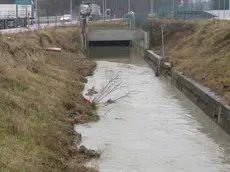 MESTRE 23.02.2004 VIA PACCAGNELLA SCARPATA CROLLATA ASSIEME ALLA RECINZIONE DI PROTEZIONE DEL CANALE (C) Bertolin M. richiesto da FERRETTI VIA PACCAGNELLA SCARPATA CROLLATA ASSIEME ALLA RECINZIONE DI PROTEZIONE DEL CANALE