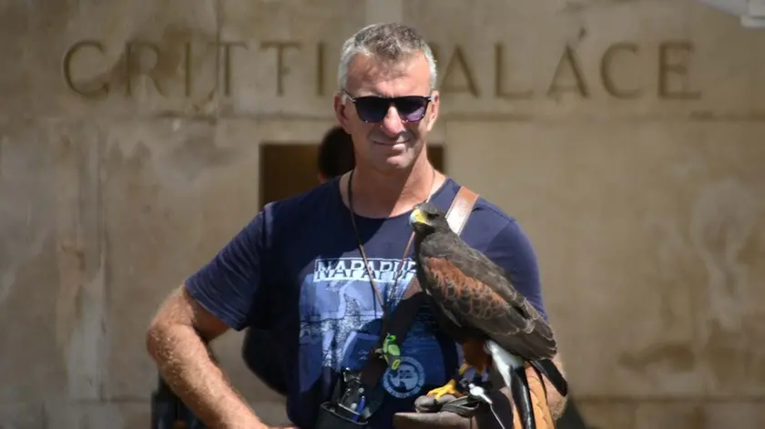 Interpress/M.Tagliapietra Venezia 05.08.2017.- Un falco per allontanare piccioni e gabbiani dai clienti in terrazza del Gritti Palace.