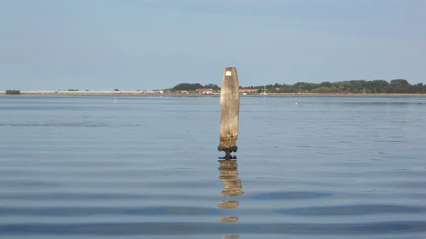 Una briccola ridotta a "stuzzicadente"