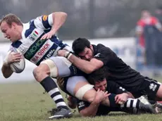 Bologni Mogliano Marchiol Rugby-Petrarca