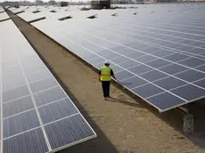 Un impianto fotovoltaico in un'immagine d'archivio. E' ancora giallo sulla presenza o meno in manovra del taglio agli incentivi per le energie rinnovabili che dovrebbe far calare le bollette. ANSA/ DARYL VISSCHER