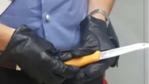 La donna è stata minacciata con un coltello