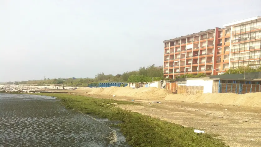 La distesa di alghe che copre l'arenile dello stabilimento balneare Kuyaba