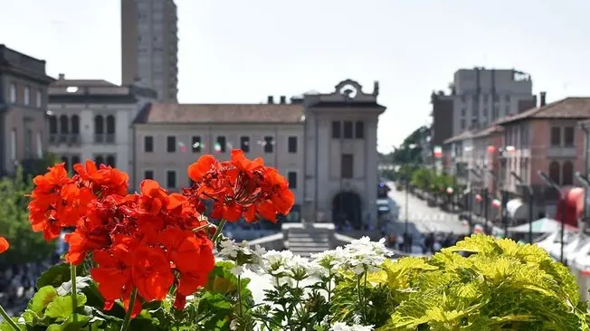 COLUCCI - DINO TOMMASELLA - S. DONA' - PIAVE 2018 - IL BALCONE DEL MUNICIPIO CON FIORI TRICOLORE