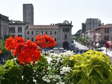 COLUCCI - DINO TOMMASELLA - S. DONA' - PIAVE 2018 - IL BALCONE DEL MUNICIPIO CON FIORI TRICOLORE