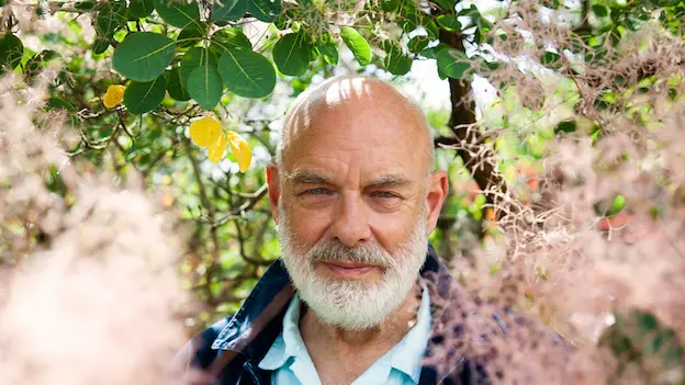 Brian Eno, Leone d'oro alla Carriera 2023