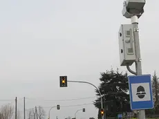 BELLUCO.INCROCIO DUE ALBERE PIAZZOLA SUL BRENTA