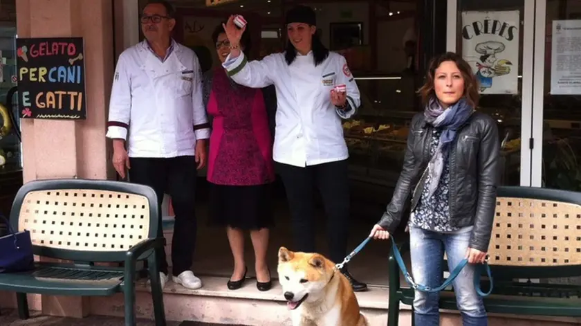 LAMANTEA - DINO TOMMASELLA - MUSILE DI PIAVE - GELATO ANCHE PER CANI E GATTI