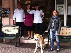 LAMANTEA - DINO TOMMASELLA - MUSILE DI PIAVE - GELATO ANCHE PER CANI E GATTI