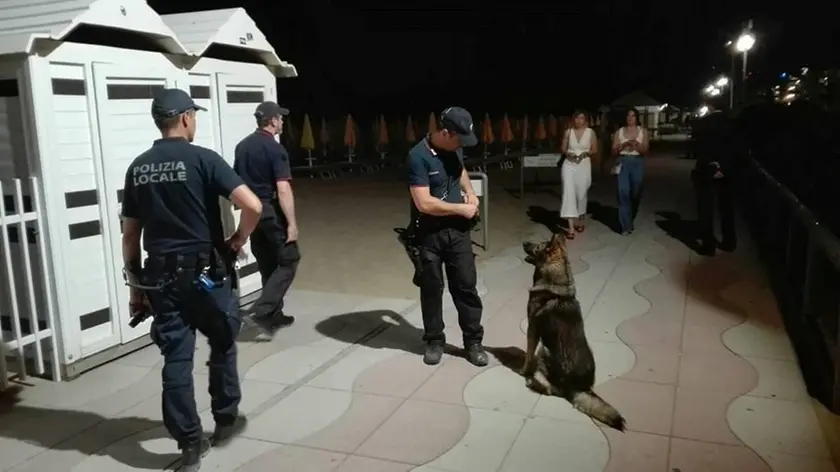 Polizia locale al lavoro a Jesolo con il cane dell'unità cinofila