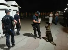 Polizia locale al lavoro a Jesolo con il cane dell'unità cinofila