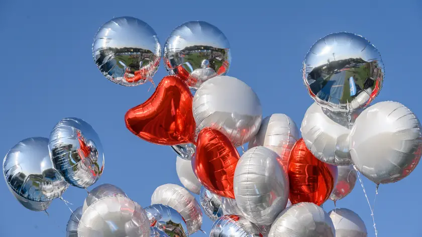 A Caorle sono stati vietati i palloncini per l'alto impatto ambientale sulla vita degli animali acquatici che li scambiano per cibo e muoiono