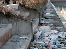 Chioggia:immondizie lungo la passeggiata del Lusenzo immondizie sul Lusenzo