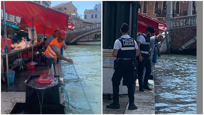 Il recupero del pesce finito in acqua e il sopralluogo della polizia locale