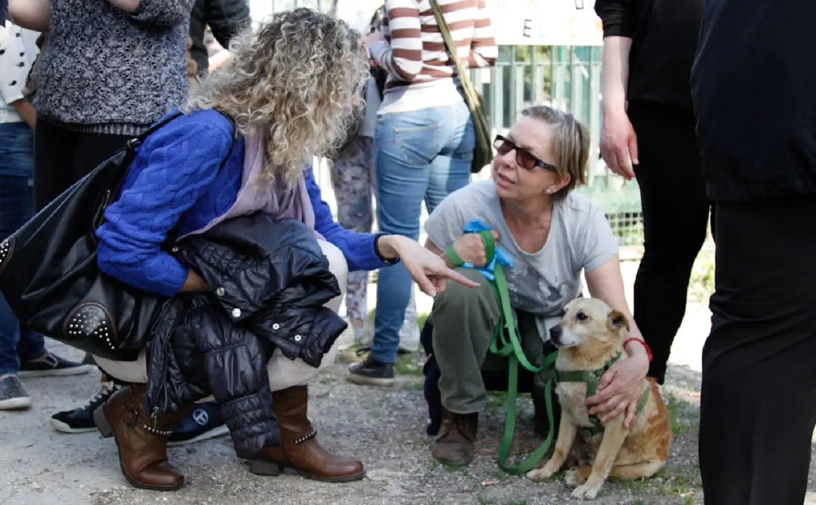 La protesta degli animalisti a San Giuliano (foto Filippini / Agenzia Candussi)