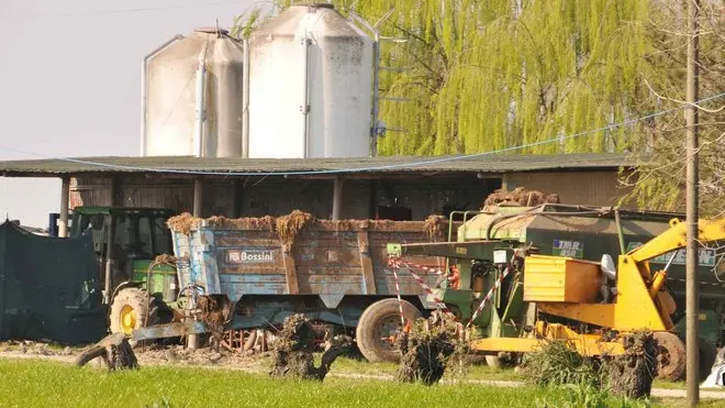 © FOTO GAVAGNIN 2014 RIPRODUZIONE VIETATA MUSSETTA S. DONA VIA POSAR INCIDENTE MORTALE SUL LAVORO