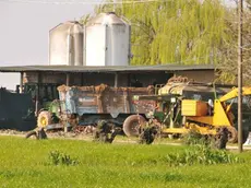 © FOTO GAVAGNIN 2014 RIPRODUZIONE VIETATA MUSSETTA S. DONA VIA POSAR INCIDENTE MORTALE SUL LAVORO