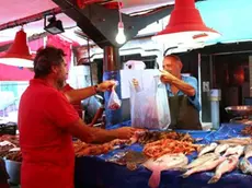 Depolo mph04a Elisabetta Donaggio ..Chioggia:pescheria al minuto, residui della pulizia del pesce restituiti al compratore