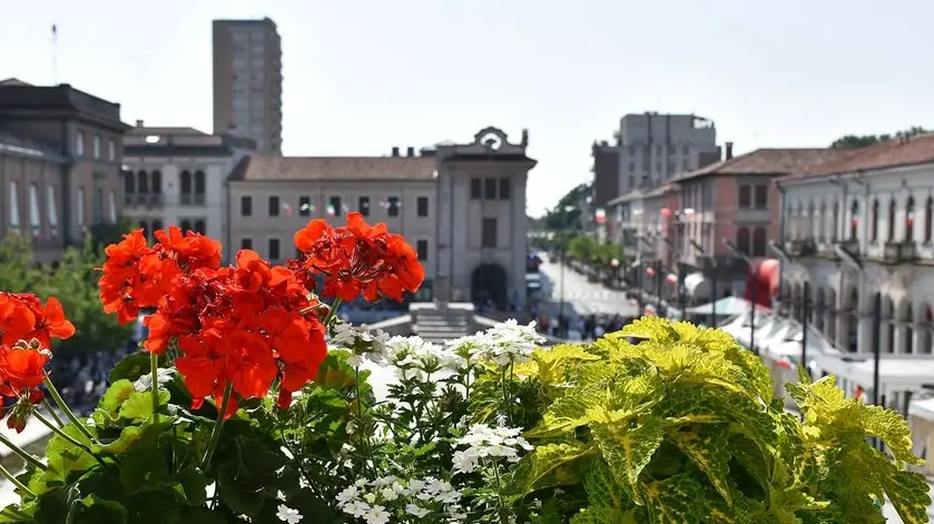 COLUCCI - DINO TOMMASELLA - S. DONA' - PIAVE 2018 - IL BALCONE DEL MUNICIPIO CON FIORI TRICOLORE