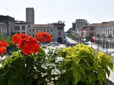 COLUCCI - DINO TOMMASELLA - S. DONA' - PIAVE 2018 - IL BALCONE DEL MUNICIPIO CON FIORI TRICOLORE