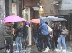 Agostini Treviso maltempo pioggia in città