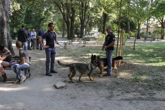 Perlustrazione di controllo dell'unità cinofila della polizia al parco di Villa Querini a Mestre