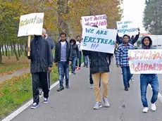 STIEVANO - BAGNOLI - 18/11/2016 - protesta dei profughi a bagnoli di sopra.nella foto : i profughi in corteo con i cartelli.ph zangirolami