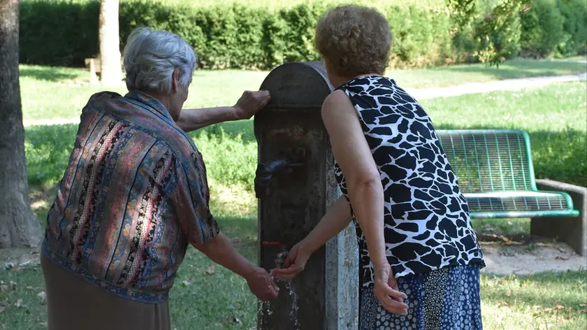 BARON - DINO TOMMASELLA - SAN DONA' - ANZIANI AL PARCO IN CERCA DI FRESCO