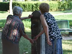 BARON - DINO TOMMASELLA - SAN DONA' - ANZIANI AL PARCO IN CERCA DI FRESCO