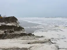 COLUCCI - DINO TOMMASELLA - JESOLO - MAREGGIATA IN ZONA PINETA