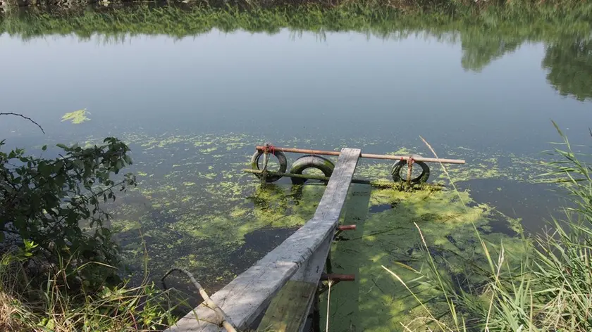 Lorenzo Porcile/Via Canali di Valle nr 291/ luogo dove è stato recuperato il cadavere, nella foto l'attracco e la canna di bambù utilizzata per accostare il cadavere al lato del fiume