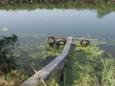 Lorenzo Porcile/Via Canali di Valle nr 291/ luogo dove è stato recuperato il cadavere, nella foto l'attracco e la canna di bambù utilizzata per accostare il cadavere al lato del fiume