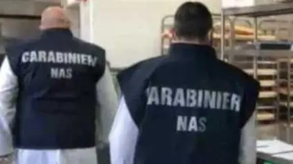 I controlli sono stati realizzati dai carabinieri del Nas di Treviso