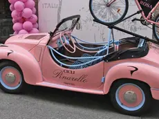 ZAGO TREVISO AG. FOTOFILM VETRINE NEGOZI IN CITTA' IN ROSA X IL GIRO D'ITALIA, IN FOTO LA VETRINA NEGOZIO PINERELLO