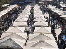 SAN DONA' DI P. - DINO TOMMASELLA - COLUCCI - FIERA DEL ROSARIO - ANTIQUARIATO IN PIAZZA