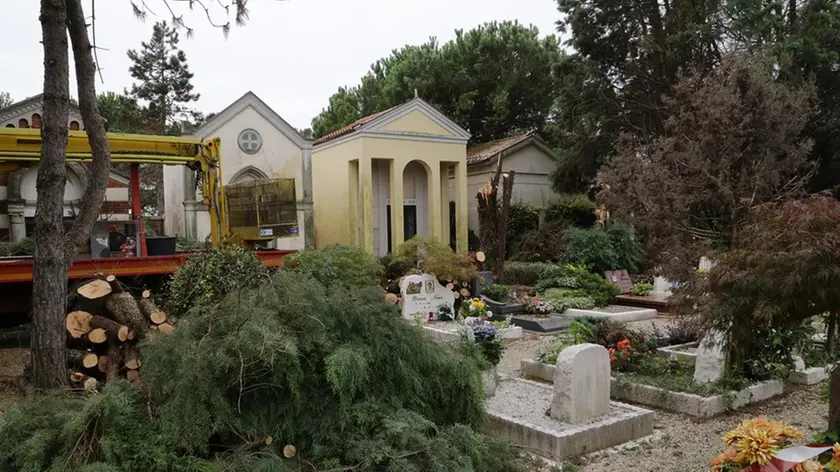 De wolaski Treviso danni maltempo in foto cimitero santa bona