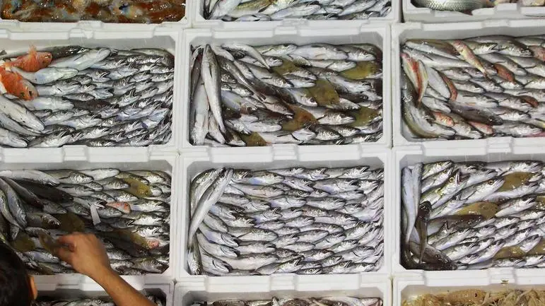 Un banco del mercato ittico in una foto di archivio.Torna da lunedì sulle tavole degli italiani il pesce fresco nazionale dell'Adriatico con la fine del blocco alla pesca, deciso per permettere di ripopolare il mare dopo che i primi sei mesi dell'anno hanno visto dimezzare il pescato in Italia. ANSA/CESARE ABBATE/