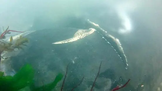 Lo squarcio nella condotta dell'acqua