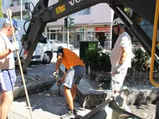 Lavori in via Carducci a Mestre per riqualificare l'arredo urbano