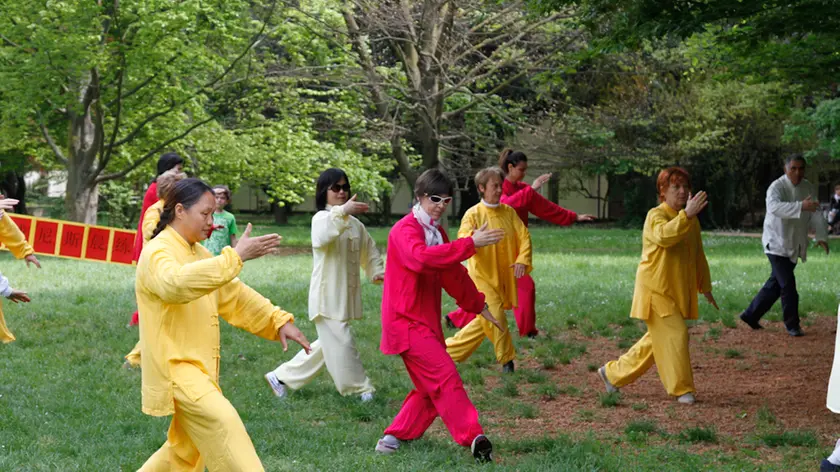 Una lezione di Tai chi