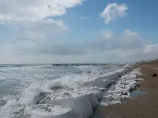 Come si presenta la spiaggia (foto Vianello)